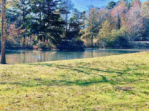 426 River Bluff Dr, Temple, GA 30179 photo 11