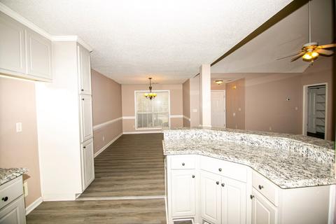 613 Lynchburg St, Hampton, GA 30228 photo 8