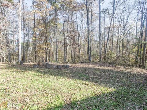 180 Dillion Dr, Hampton, GA 30228 photo 31