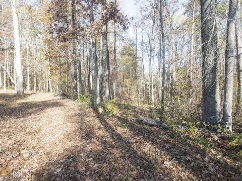 180 Dillion Dr, Hampton, GA 30228 photo 30