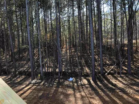 36 Sutton Rd, Buchanan, GA 30113 photo 11