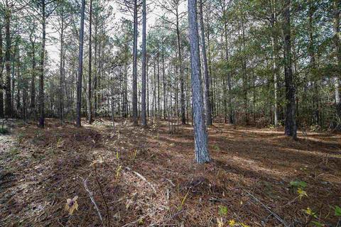 1571 Riverwalk Rd, Bishop, GA 30621 photo 70