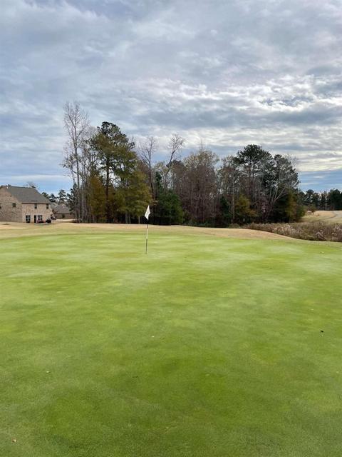 3325 Alhambra Cir, Hampton, GA 30228 photo 28