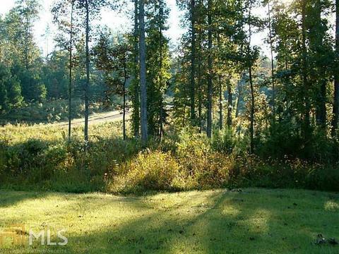 254 Teaberry Ln, Jasper, GA 30143 photo 41
