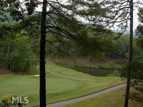 254 Teaberry Ln, Jasper, GA 30143 photo 40
