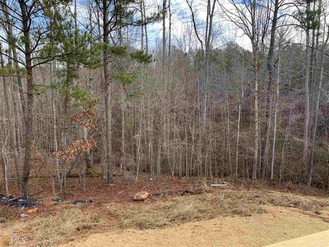1031 Cedar Mist Dr, Hampton, GA 30228 photo 40