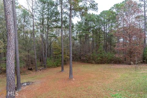 321 Old Milner Rd, Barnesville, GA 30204 photo 39