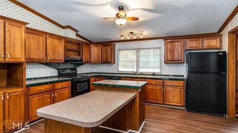 321 Old Milner Rd, Barnesville, GA 30204 photo 5