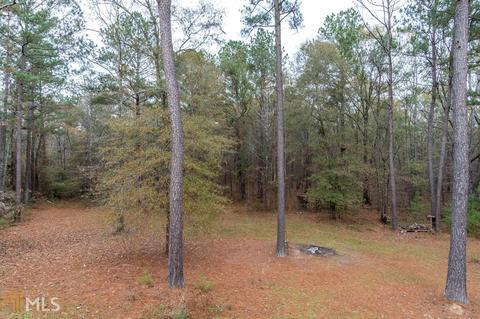 321 Old Milner Rd, Barnesville, GA 30204 photo 38