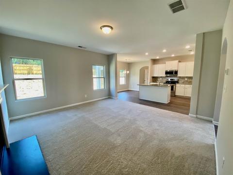 397 Daffodil Dr, Temple, GA 30179 photo 7