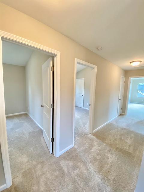 397 Daffodil Dr, Temple, GA 30179 photo 25