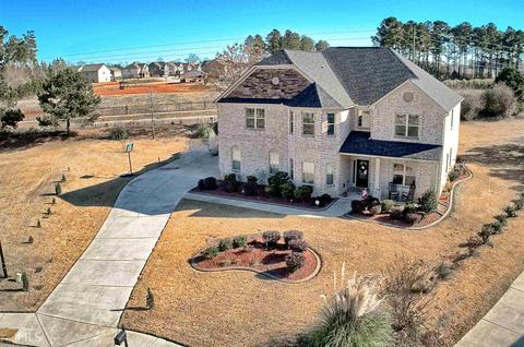 1308 Lanier Ct, Hampton, GA 30228 photo 3