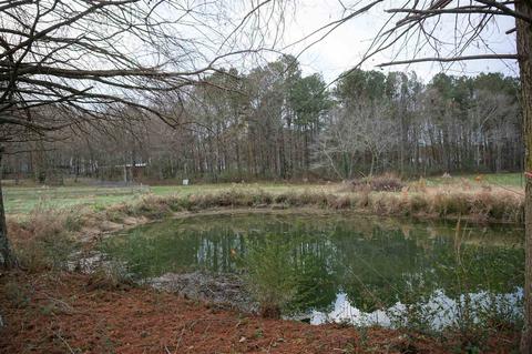 215 Punkin Junction Rd, Bethlehem, GA 30620 photo 2