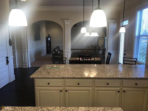 2324 Braunsroth Ln, Hampton, GA 30228 photo 18