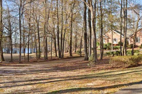 12609 Old Well Ct, Hampton, GA 30228 photo 3