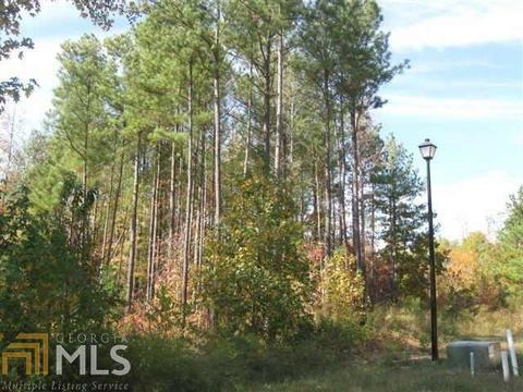 13675 Inman Rd, Hampton, GA 30228 photo 8