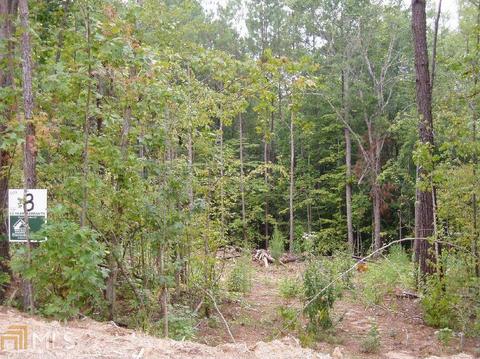 13675 Inman Rd, Hampton, GA 30228 photo 1