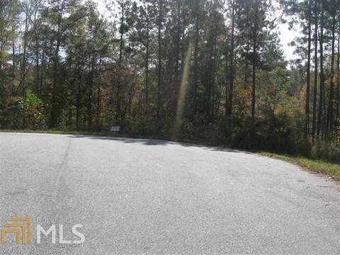 13675 Inman Rd, Hampton, GA 30228 photo 2