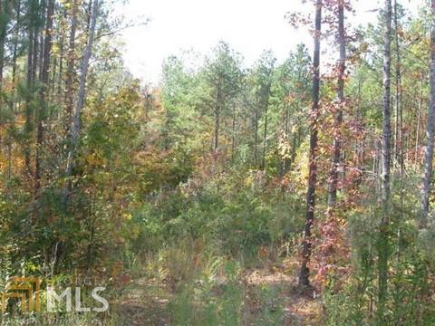 13675 Inman Rd, Hampton, GA 30228 photo 6
