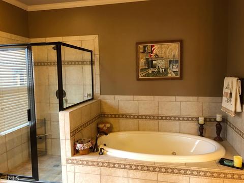 209 Manresa Ct, Hampton, GA 30228 photo 10