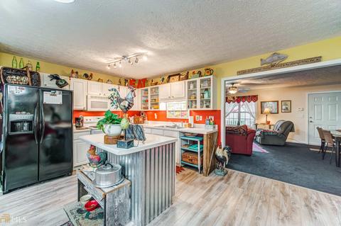 117 Miller Path, Temple, GA 30179 photo 3