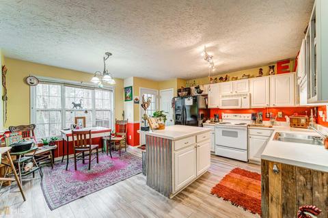 117 Miller Path, Temple, GA 30179 photo 2