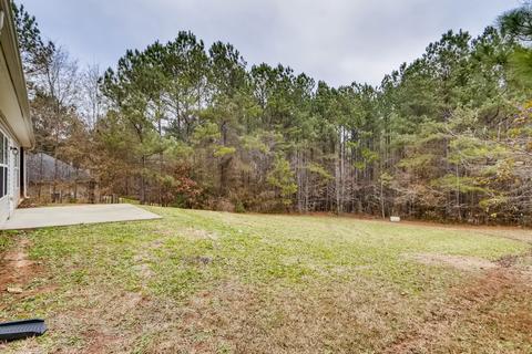 61 Heron, Jackson, GA 30233 photo 32