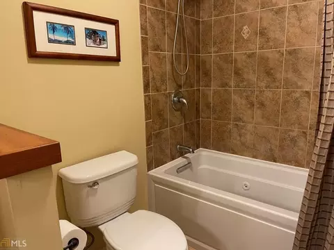 511 Aster Trce, Canton, GA 30115 photo 22