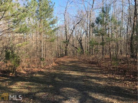 820 Levans Rd, Bremen, GA 30110 photo 4