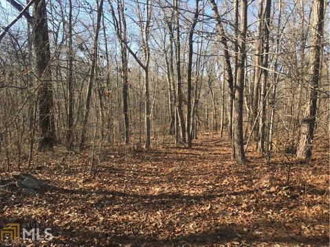 820 Levans Rd, Bremen, GA 30110 photo 1