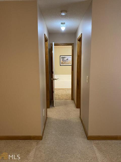 246 Hendricks Rd, Rydal, GA 30171 photo 16