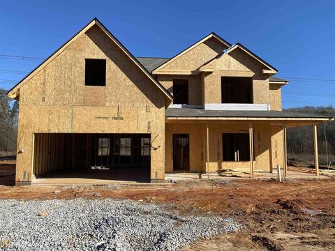 11253 Promise Pl, Hampton, GA 30228 photo 1