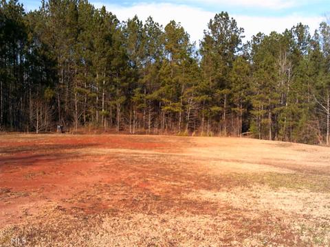 95 S River Crest Ln, Covington, GA 30016 photo 3
