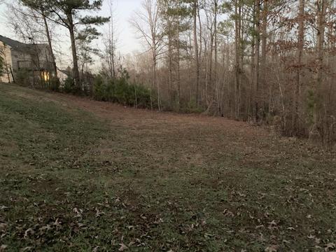 110 Arthurs Ln, Covington, GA 30016 photo 21