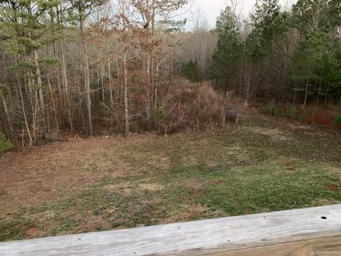 110 Arthurs Ln, Covington, GA 30016 photo 22