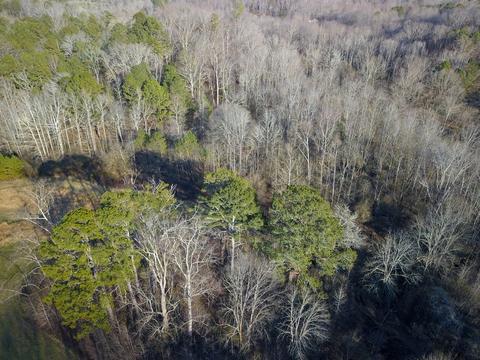 950 Thomas Rd, Canton, GA 30115 photo 4