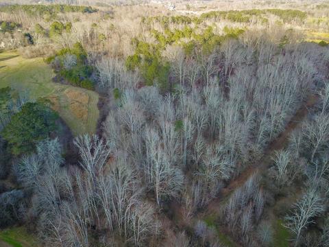 950 Thomas Rd, Canton, GA 30115 photo 6