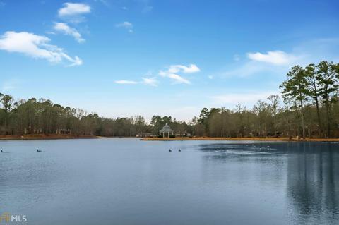 105 Ashford Dr, Tyrone, GA 30290 photo 50