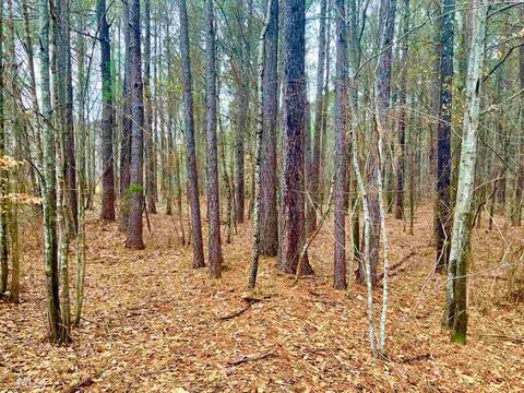 3031 Centennial Rd, Rutledge, GA 30663 photo 5