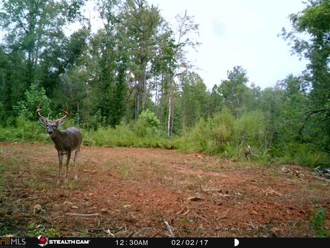 2001 Davidson Rd, West Point, GA 31833 photo 8