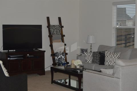 159 Apalachee Dr, Bethlehem, GA 30620 photo 8