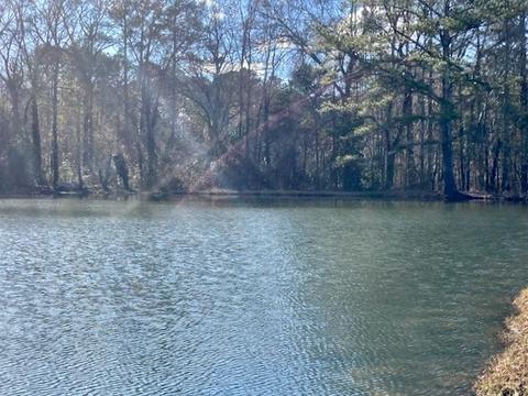 475 School Rd, Hampton, GA 30228 photo 28