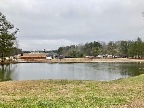 475 School Rd, Hampton, GA 30228 photo 23