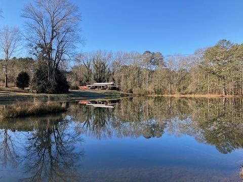 475 School Rd, Hampton, GA 30228 photo 30