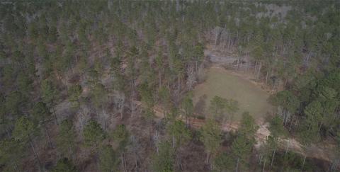 387 Alverson Rd, Lagrange, GA 30241 photo 11