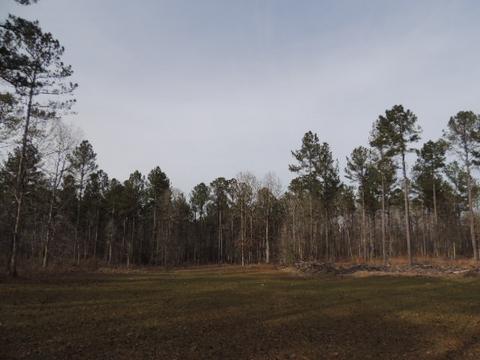 387 Alverson Rd, Lagrange, GA 30241 photo 8