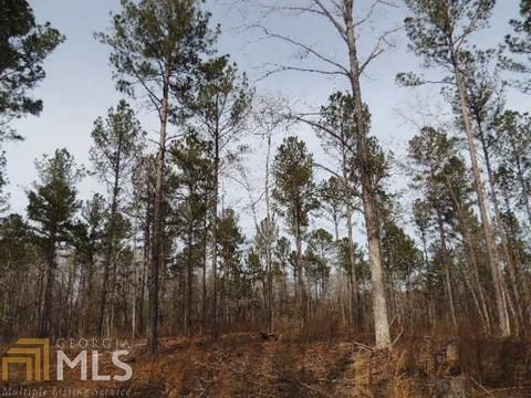 387 Alverson Rd, Lagrange, GA 30241 photo 9