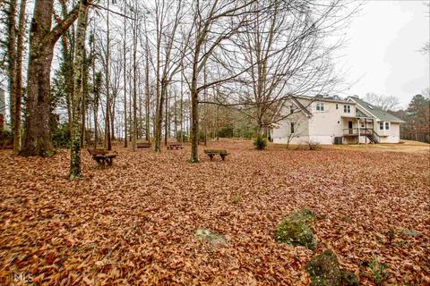 196 Ellison Rd, Tyrone, GA 30290 photo 58
