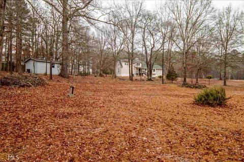 196 Ellison Rd, Tyrone, GA 30290 photo 59