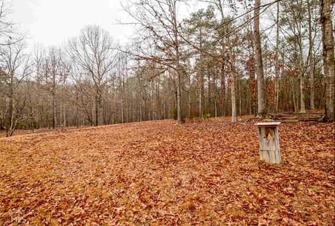 196 Ellison Rd, Tyrone, GA 30290 photo 57